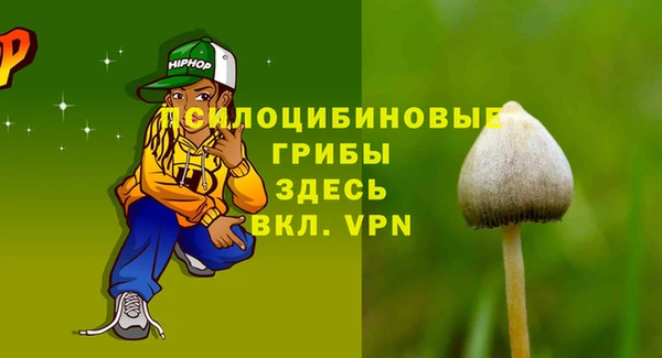 дурь Магас
