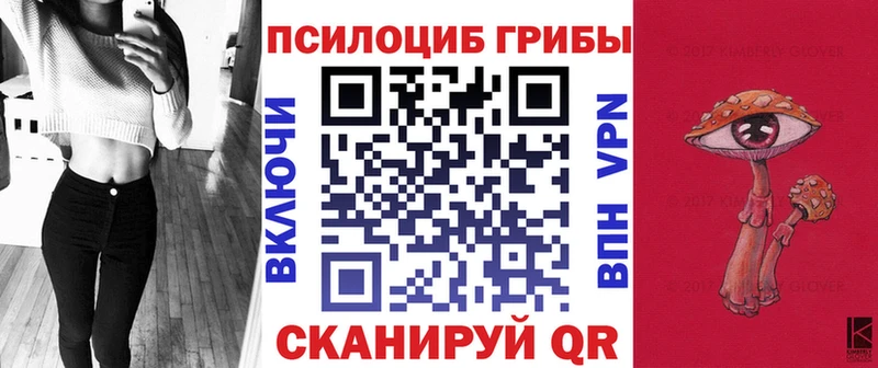 Купить где  Заозёрный  Псилоцибиновые грибы MAGIC MUSHROOMS 